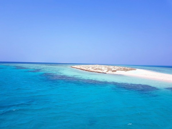 El Qulaan